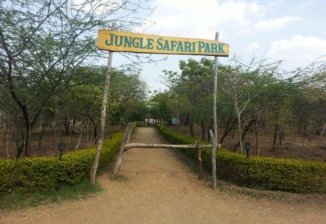 Jungle Safari to be aided with Boat Stand