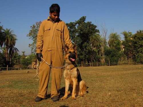 Animal Aid – Training Program for Police in Udaipur