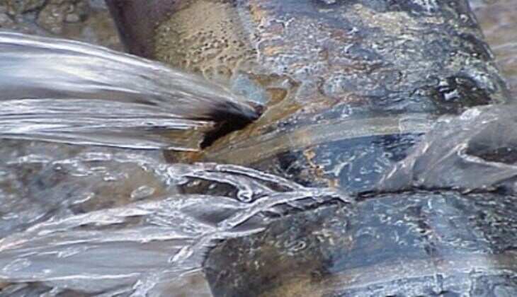 Water pipe line gets damaged at BN College road