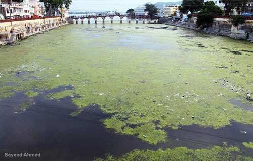 Nyaya Mitra witness Waste flowing in Water Bodies