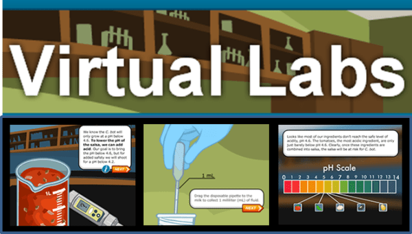 Virtual Laboratory at Meera Girls College