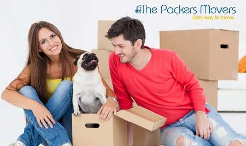 Easy-to-Follow Pet Moving Tips