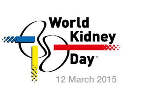 World Kidney Day: Your Guide to Healthy Kidneys