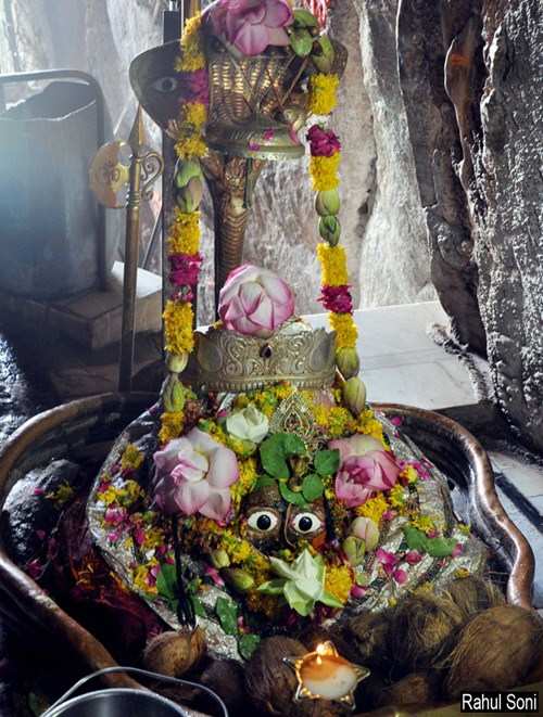 [Photos] Devotees celebrate Maha Shivratri