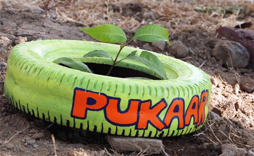 Pukaar celebrates 100th Sunday with Nature