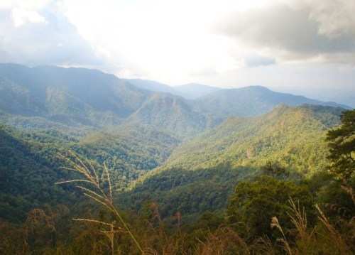 Travelling to Thailand? Look out for these 5 new National Parks in Thailand