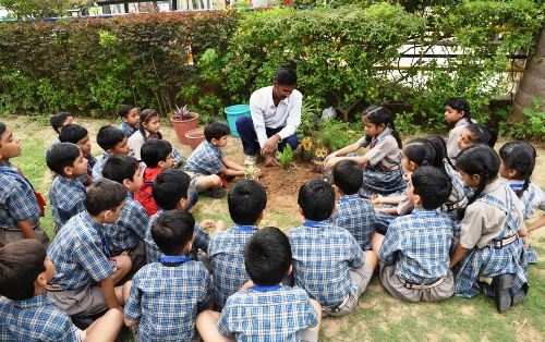 Van Mahotsava celebrations consummate at Seedling School