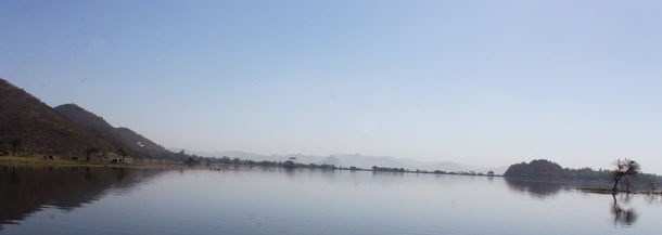 Faunal History of Fatehsagar Lake, Udaipur