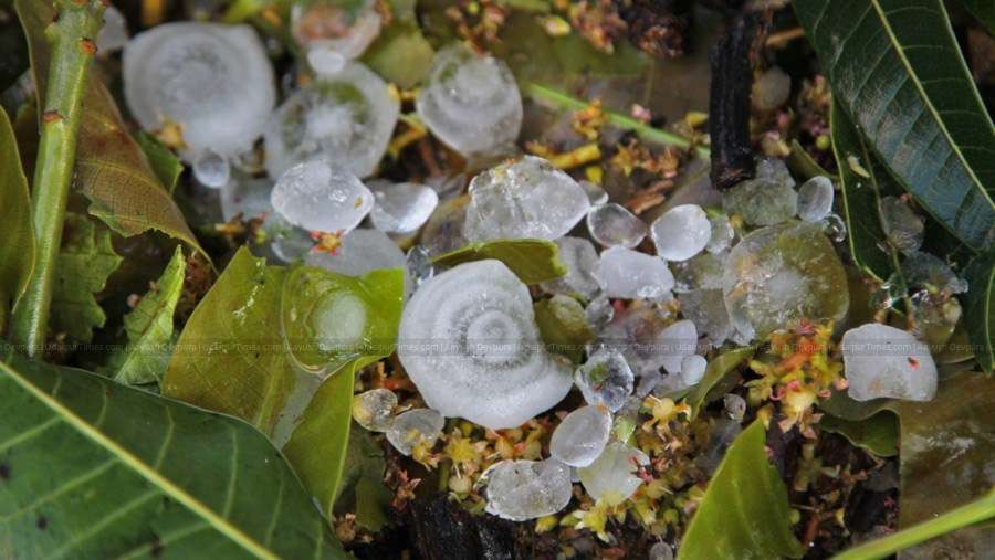 [Photos] Hail Storm gets Snow fall like feel to Udaipur