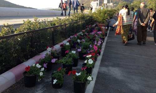 Fateh Sagar blooms with Flower Show