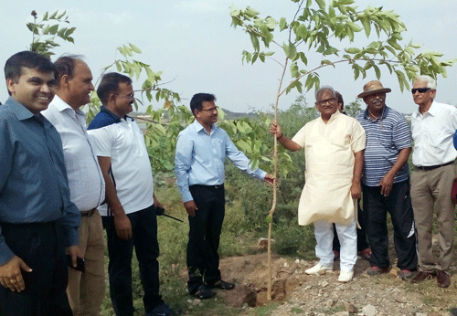‘Plantation of 20,000 trees to achieve Green Udaipur,’ says Bunkar