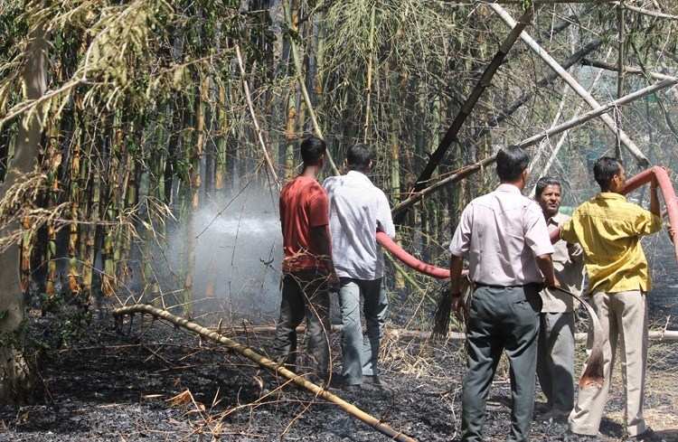 Scorching Heat causes Fire at Gulab Bagh