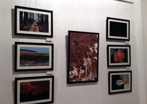‘Wild Raaga’ photography exhibition commences at RK Mall