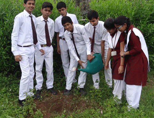 Plantation Drive in Central Academy by team Pukaar