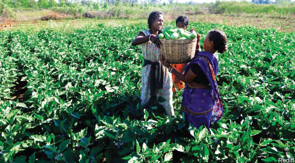 Direct Selling of Vegetables to Benefit Farmers and End Users