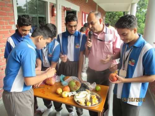 Cultural Week organised at The Study