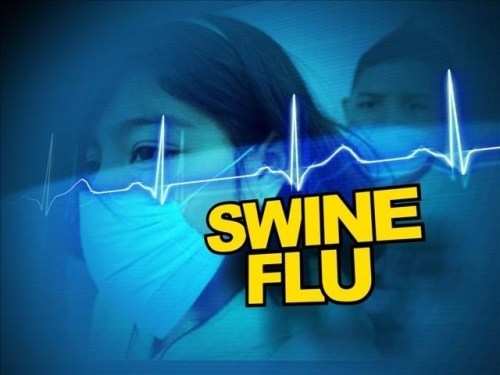 Swine flu strikes back-1 positive