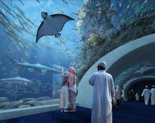 8000sqmtrs | Middle East’s largest aquarium now in Oman