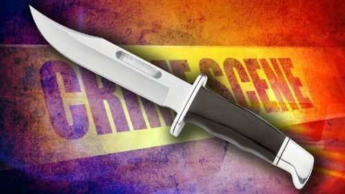 Stabbing in Udaipur | 2 killed 1 injured