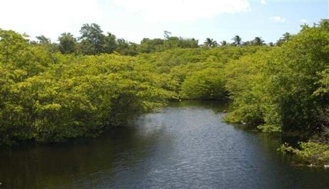 Several programs by Forest Department on World Wetlands Day