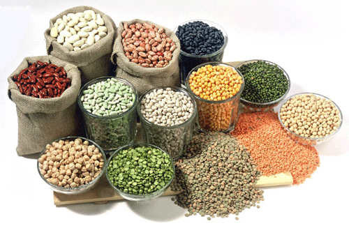 Pulses’ stocks come under scrutiny by DSO