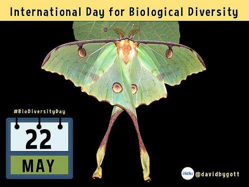 Event on International Biodiversity Day organized