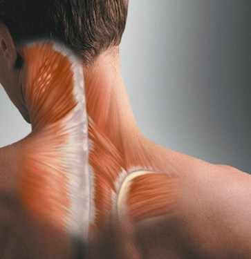 Muscle Twitch in the Neck/Lower Back & Quick fix with Manual Therapy