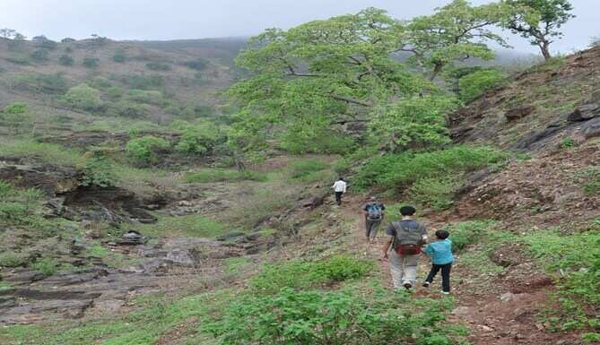 Visit the Terrace of Udaipur and Listen to Eco's Echo