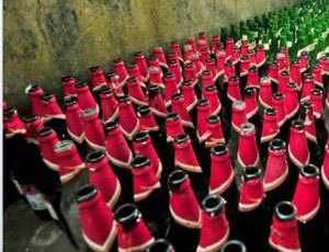 Rs. 50 Lac worth illegal liquor seized