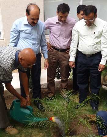 Hindustan Zinc marks World Environment day