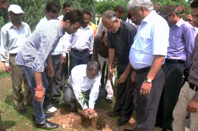 Plantation Drive at College of Science