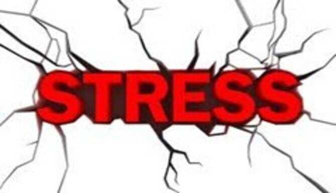 Student Commits Suicide over Stress