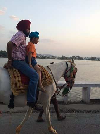 Horse rides and camel rides to entertain public