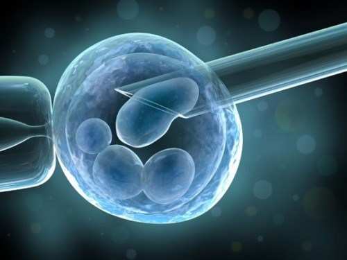 Case of fraud against an IVF centre in Udaipur