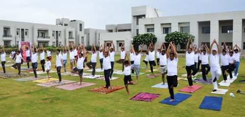 International Yoga Day 2017 celebrated at Wonder Cement