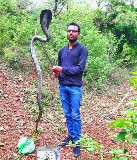 7-feet Cobra enters Pratap Nagar house
