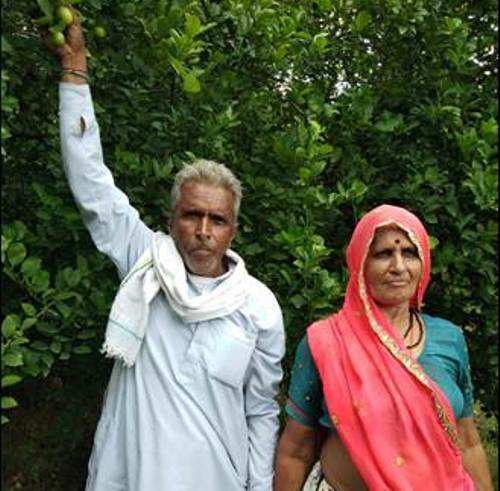 Artisan to Farmer – Kanhaiyalal Kumawat sees an improved way of living