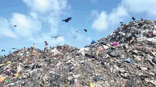 Udaipur becomes first in Rajasthan to treat waste in natural way