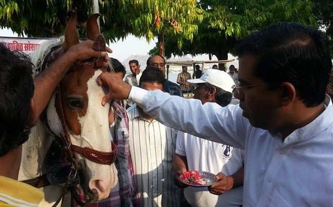Horse Safari starts at Dudh Talai