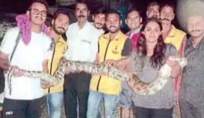Snake and python rescued from 2 different places