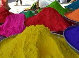 What’s Your Way of Holi, Greener or Greasier?