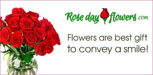 Rosedayflowers.com offers Worldwide Valentine Flowers Delivery