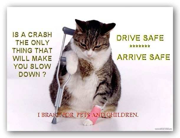 Road Safety Week: 10 Very Inspirational Posters