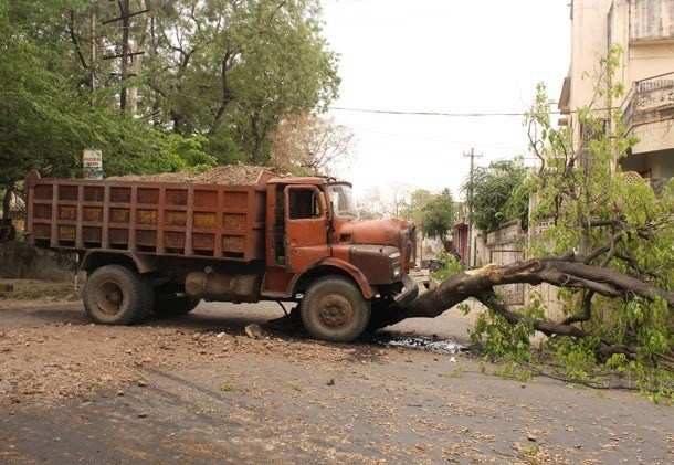 Truck smashes into Tree, no casualties though