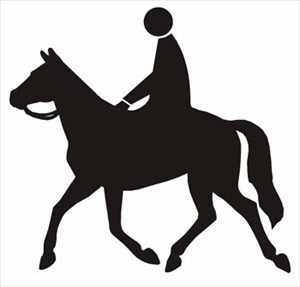Horse Riding Camp to Start from 15th May