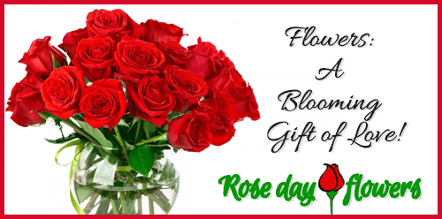 Rosedayflowers.com: A One Stop Shop for Beautiful Roses Online