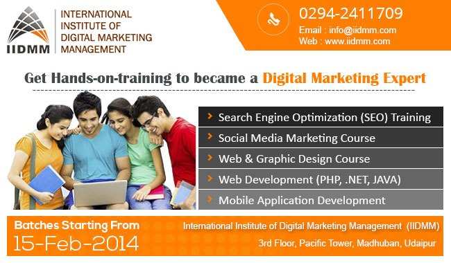 International Institute of Digital Marketing Management (IIDMM) opens in Udaipur