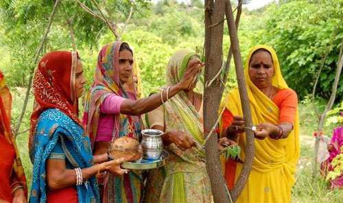 Smart Village that grows 111 Trees on birth of Girl Child