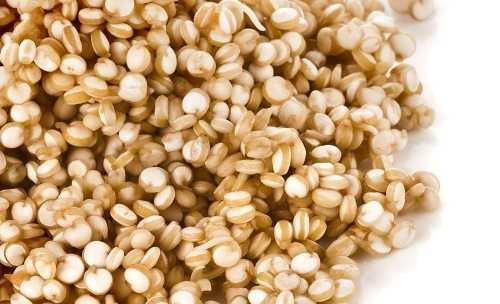 Udaipur to have Quinoa processing units