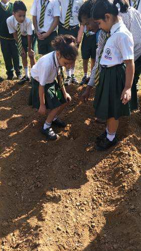 Farm to Fork project at Seedling World School – Hunger is a global problem, learn to appreciate food